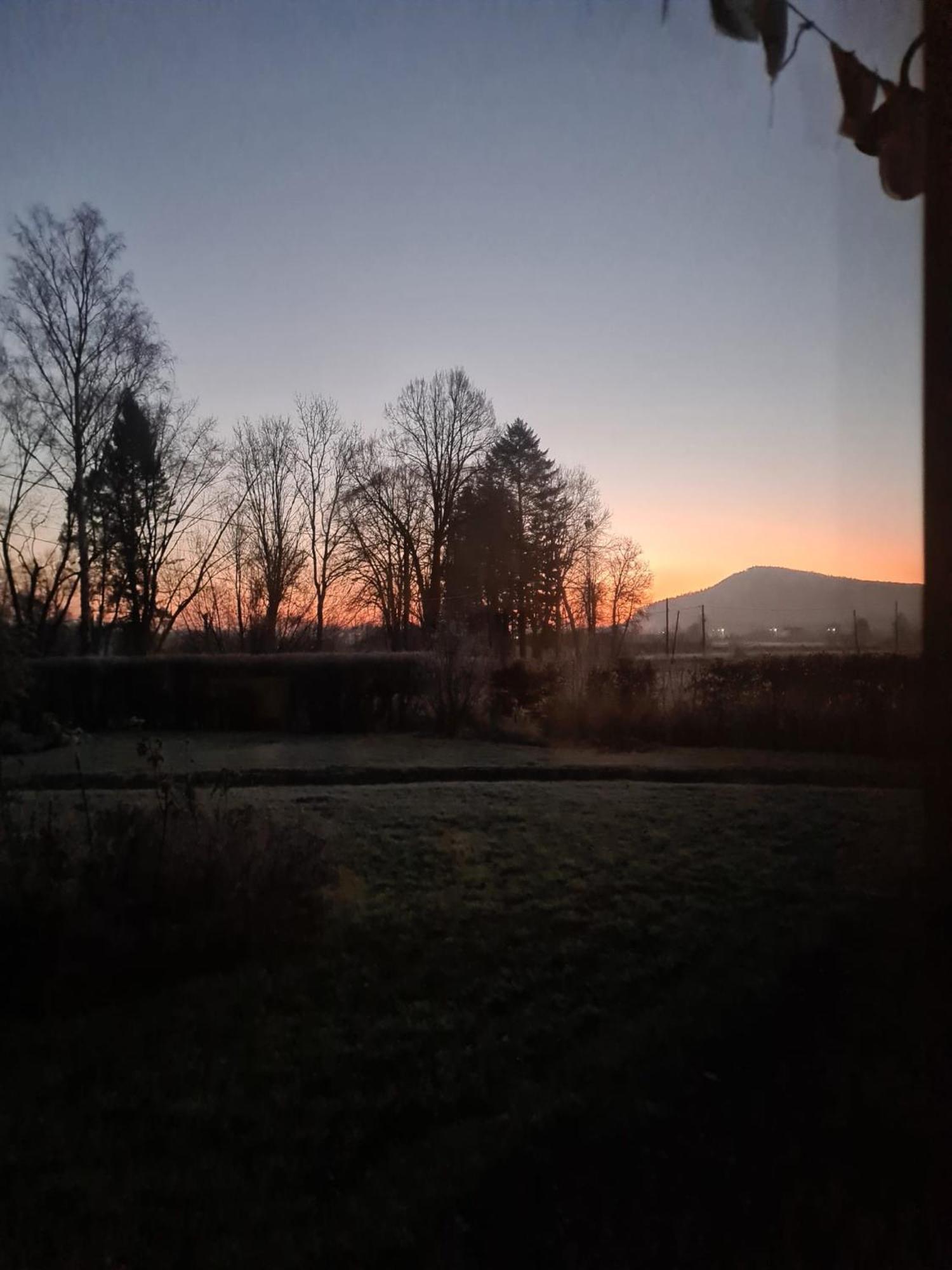 Wataha Pod Basztami - Wadera - Domki Caloroczne Radkow Exterior foto
