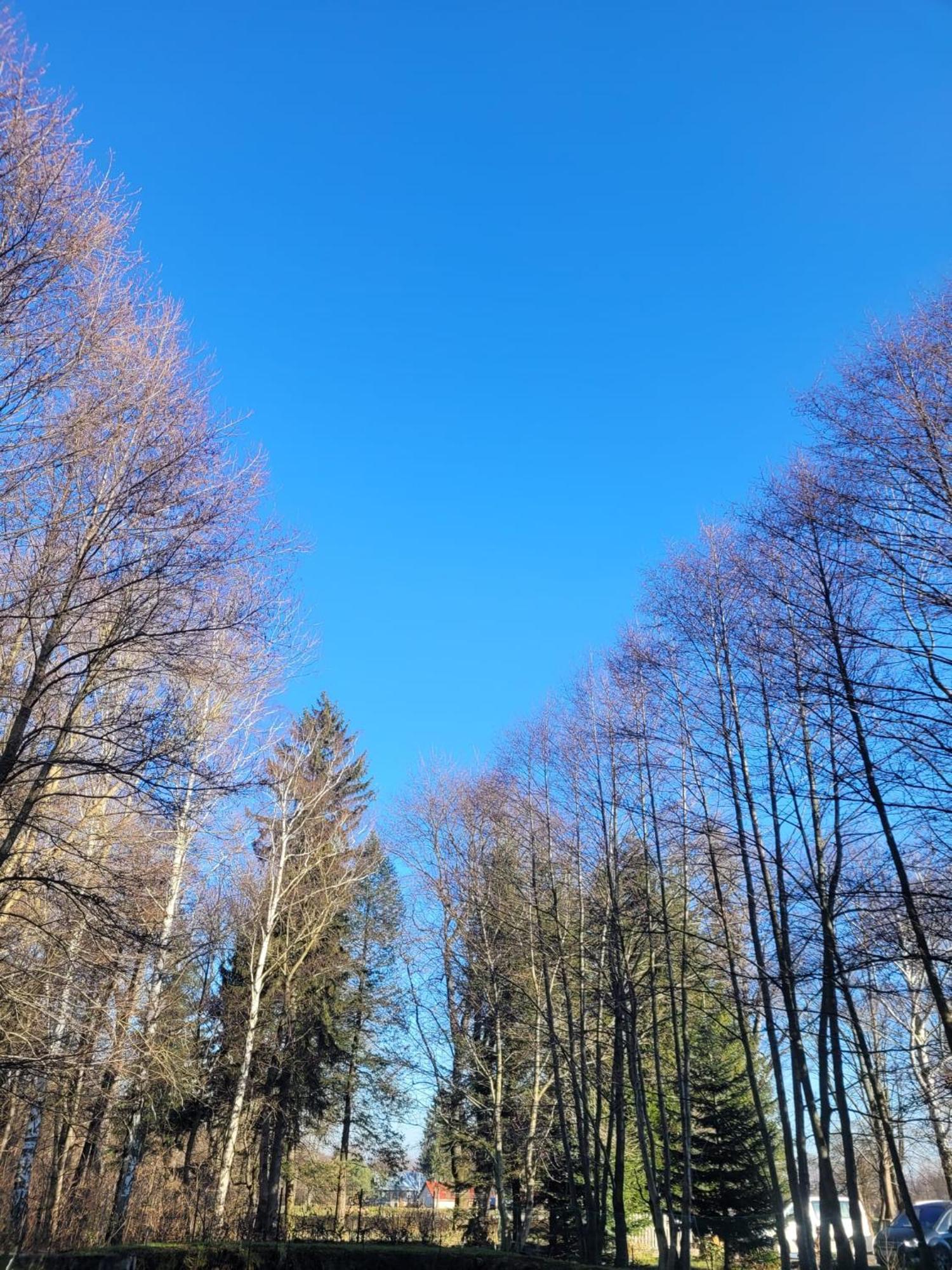 Wataha Pod Basztami - Wadera - Domki Caloroczne Radkow Exterior foto