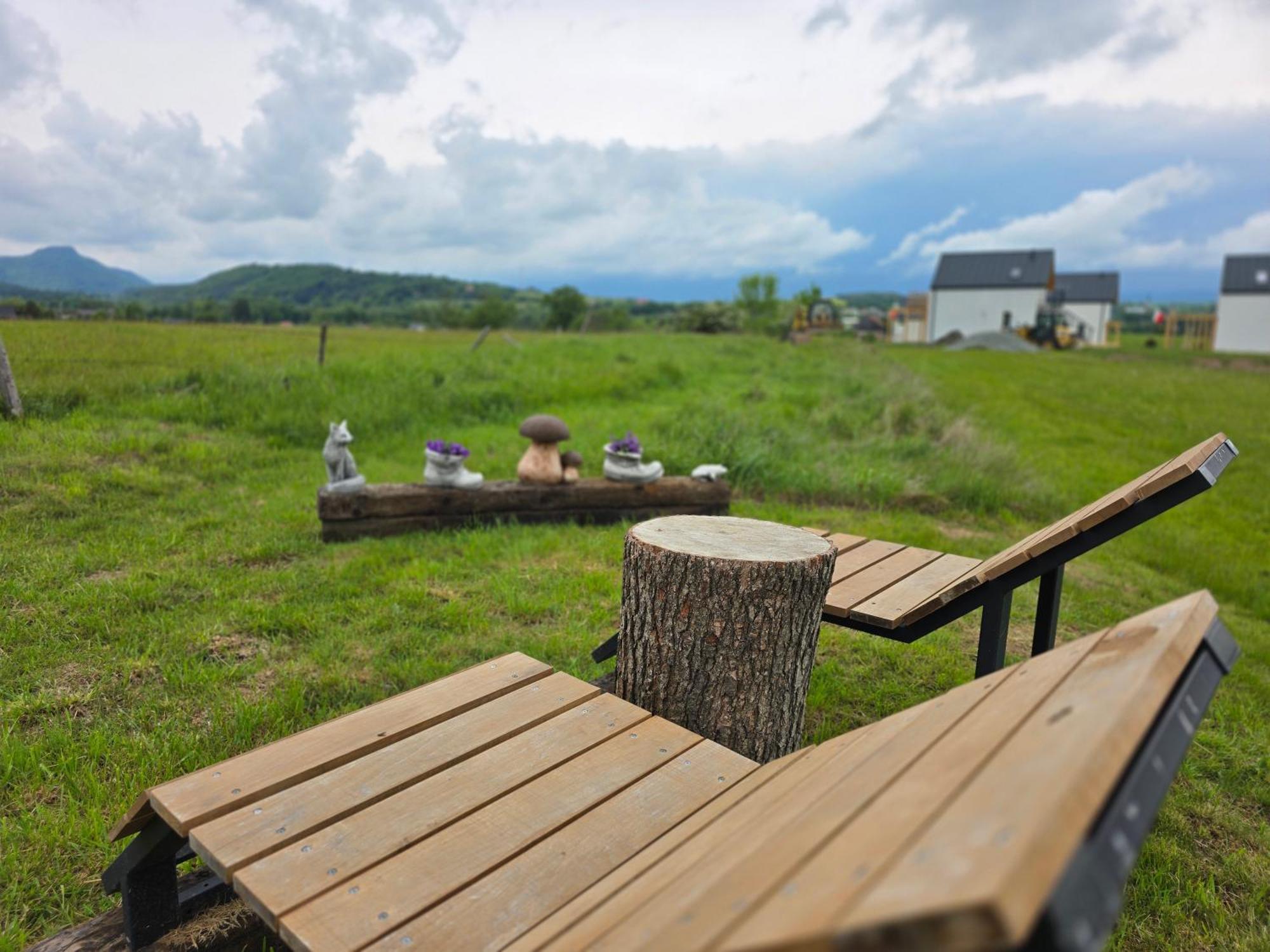 Wataha Pod Basztami - Wadera - Domki Caloroczne Radkow Exterior foto